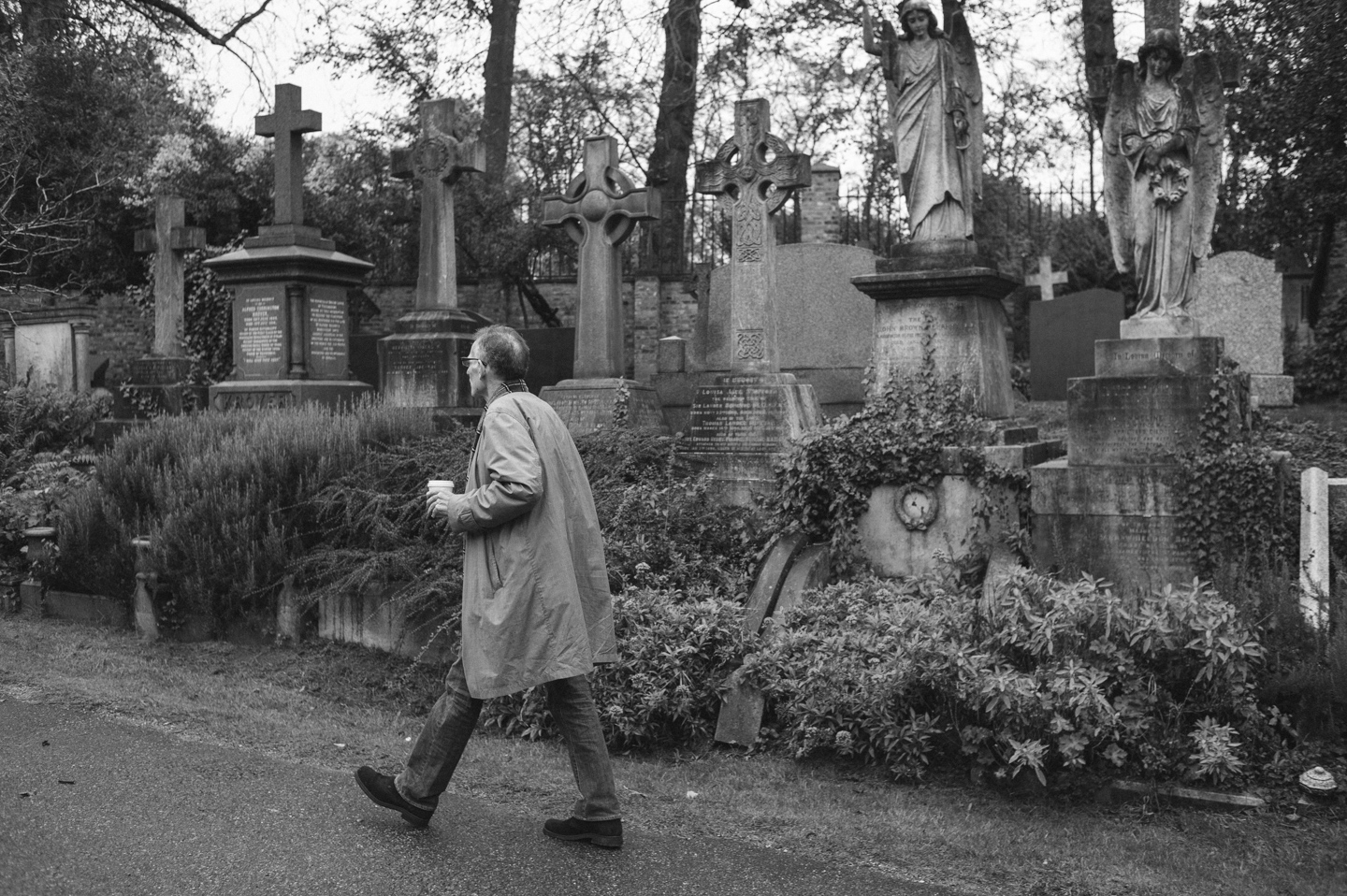 Missing Image